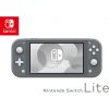 May Switch Lite Gray Ha Noi 5